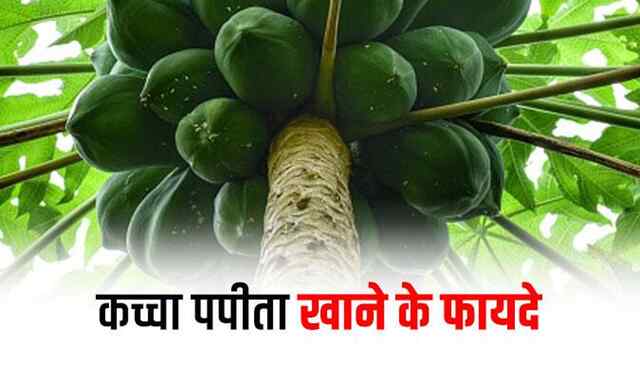 Health Tips: जानें सुबह खाली पेट कच्चा पपीता खाने के फायदे, सेहत को मिलते हैं कई बड़े लाभ