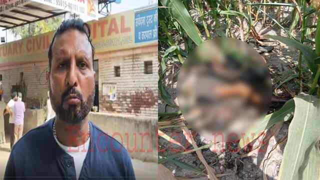 Punjab News: स्कूल के पास खेतों से शव बरामद, देखें वीडियो
