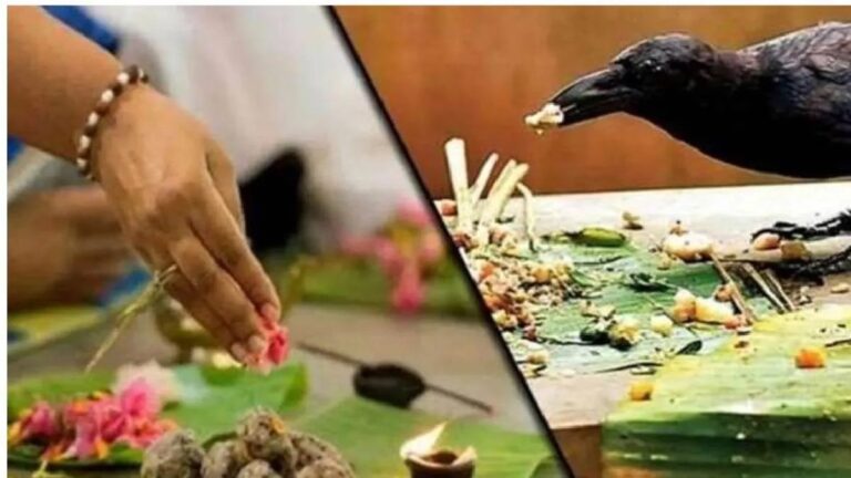 Pitru Paksha : पितृ पक्ष में कौवों को श्राद्ध का भोजन क्यों कराया जाता है?