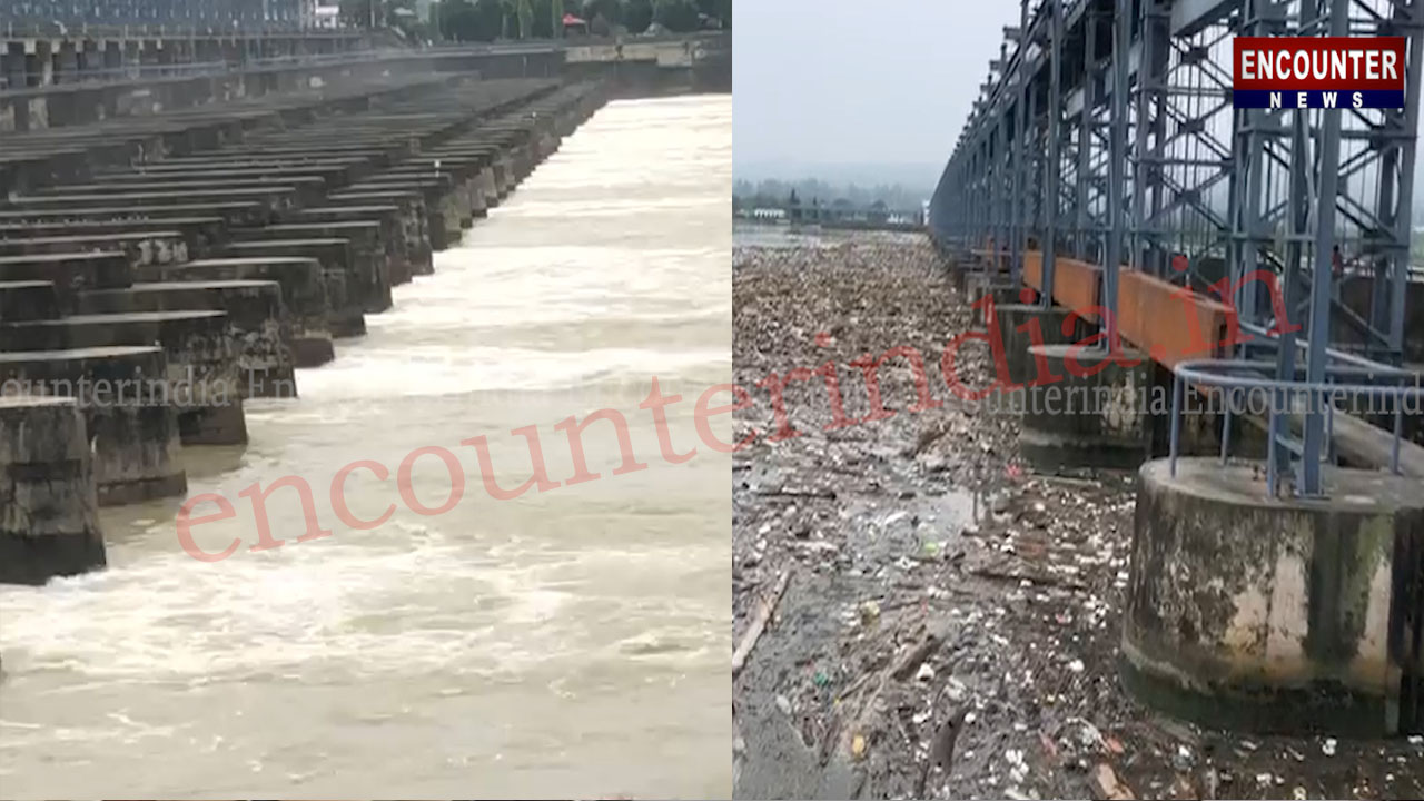 Punjab News: पोंग डैम का बड़ा जलस्तर, जान जोखिम में डालकर लकड़ियां निकाल रहे लोग, चेतावनी जारी, देखें वीडियो