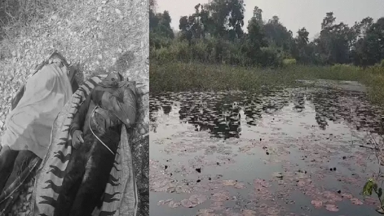 सूअर के शिकार के लिए बिछाए करंट की चपेट में आए 2 युवक, तड़प-तड़पकर मौत