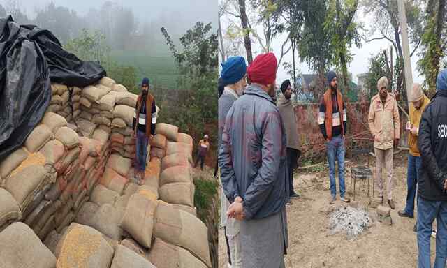 Punjab News: गोदाम से गेंहू की 300 बोरियां लेकर चोर फरार