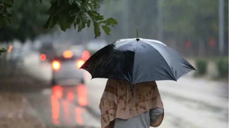 Punjab News: मौसम का बदला मिजाज, कई जिलों में बारिश का अलर्ट, देखें वीडियो
