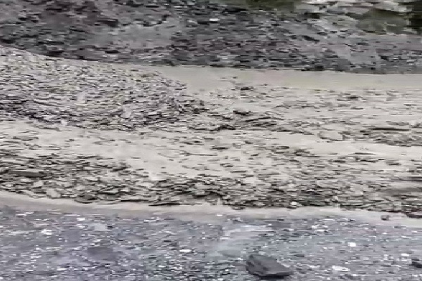 कांगड़ा-कुल्लू में तेज बारिश, पागल नाला में बाढ़, Highway closed