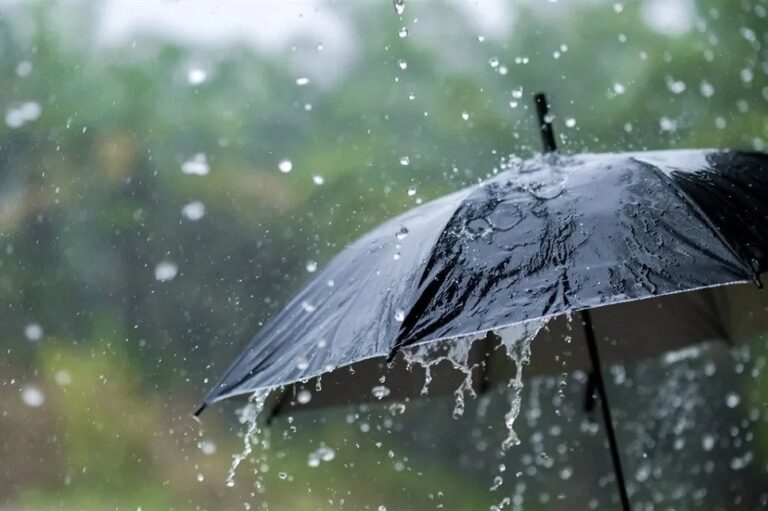 Punjab News: इन इलाकों में बारिश के आसार, 13 जिलों में धुंध बढ़ने की उम्मीद