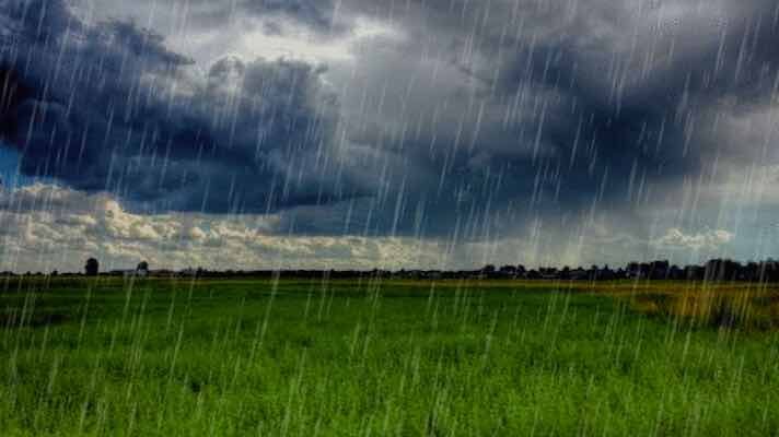 पंजाब के 8 जिलों में जल्द होगी बारिश, कोहरे का येलो अलर्ट जारी