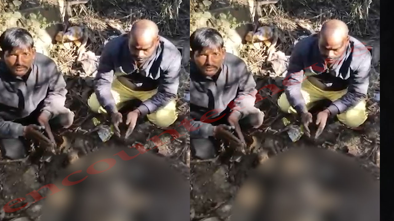 Haryana News: पशु क्रूरता करने वालों पर पुलिस की कड़ी कार्रवाई, 2 आरोपी गिरफ्तार, देखें वीडियो