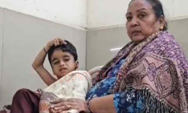 Punjab News: गली में खेल रहे 3 वर्षीय बच्चे पर आवारा कुत्तों ने किया हमला