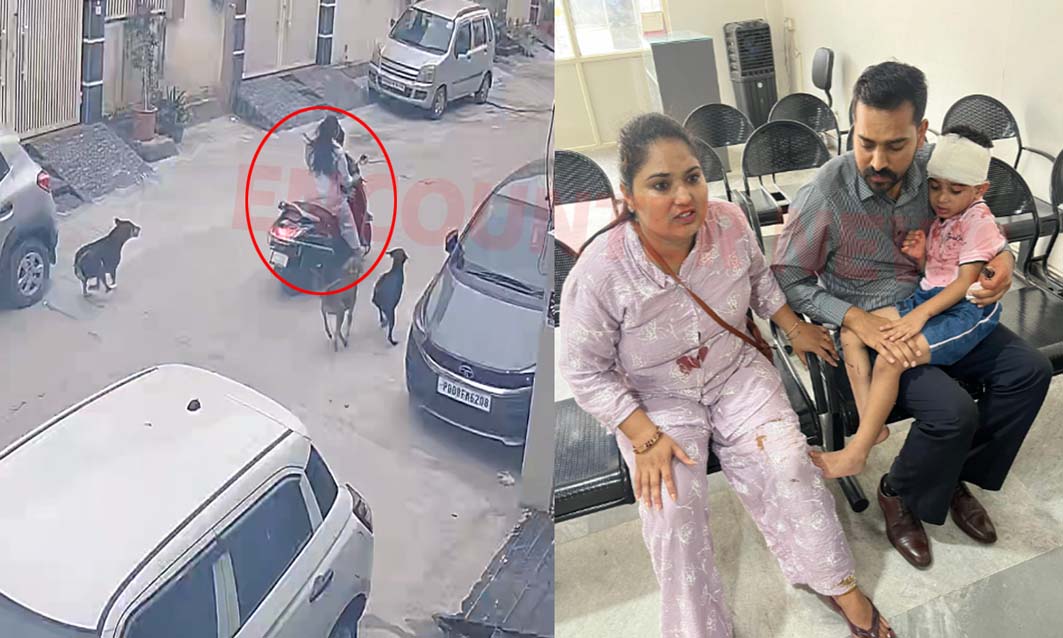 Jalandhar News: कुत्तों का आतंक, बेटे और मां पर किया हमला, बच्चा घायल, देखें वीडियो