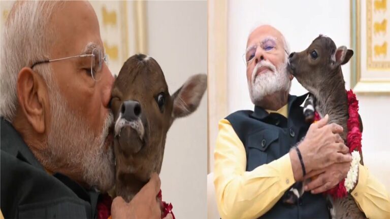 PM मोदी के आवास पर नन्हीं बछिया का जन्म, ‘दीपज्योति’ रखा नाम, देखें वीडियो
