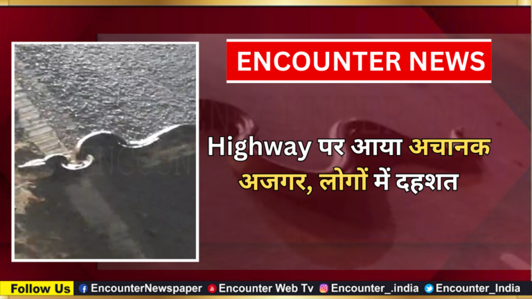 Highway पर आया अचानक अजगर, लोगों में दहशत, देखें वीडियो