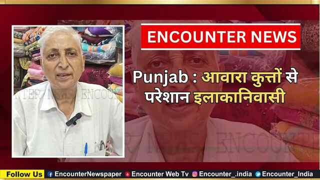 Punjab : आवारा कुत्तों से परेशान इलाकानिवासी, देखें वीडियो