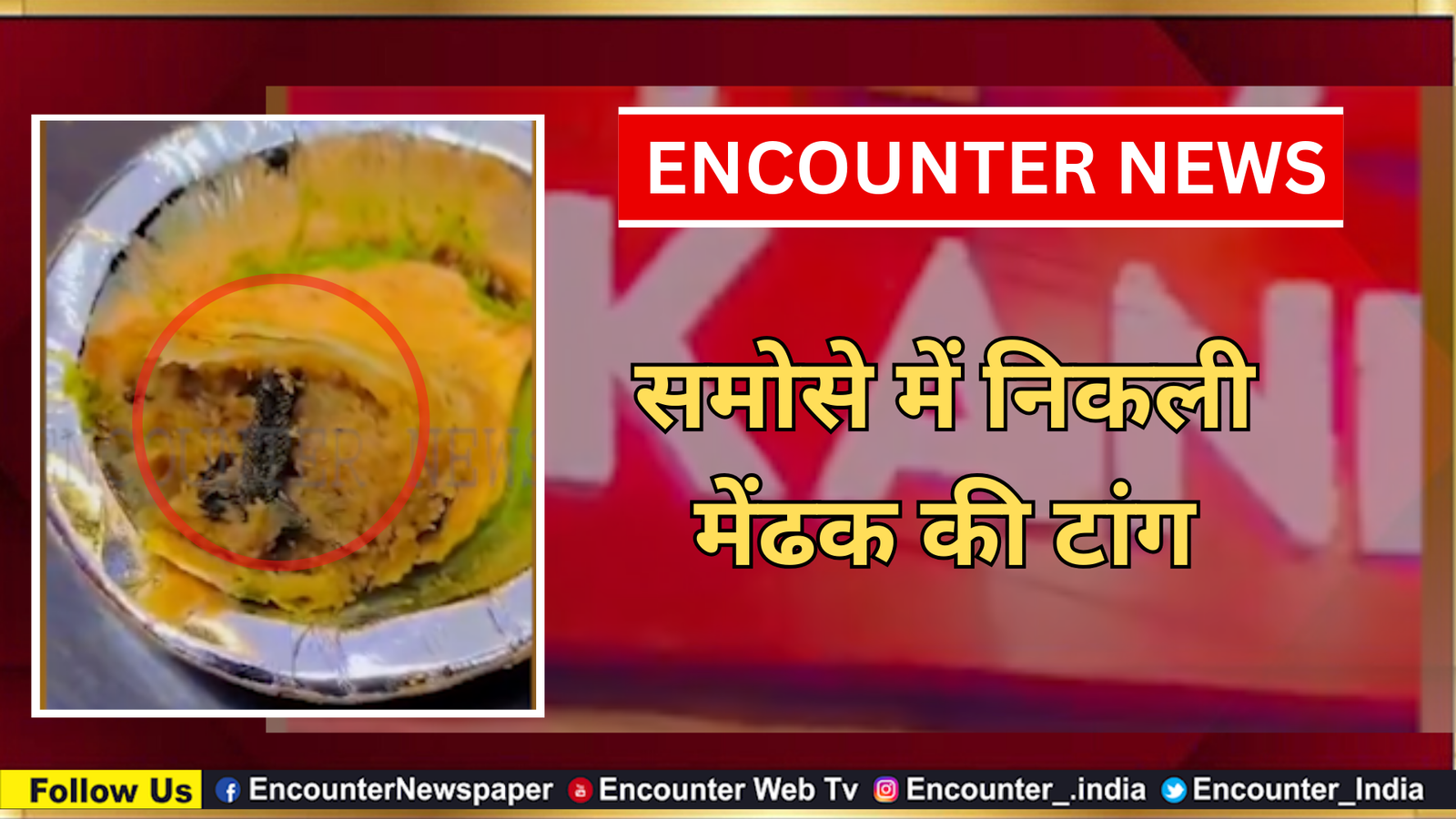 समोसे में निकली मेंढक की टांग, देखें वीडियो