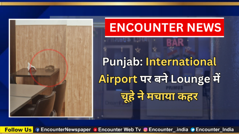 Punjab News: International Airport पर बने Lounge में चूहे ने मचाया कहर, वीडियो वायरल