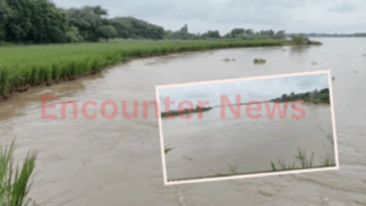 Punjab News: सतलुज में पानी बढ़ने से बांध के किनारों पर आया कट, गांववासियों में डर का माहौल, देखें वीडियो