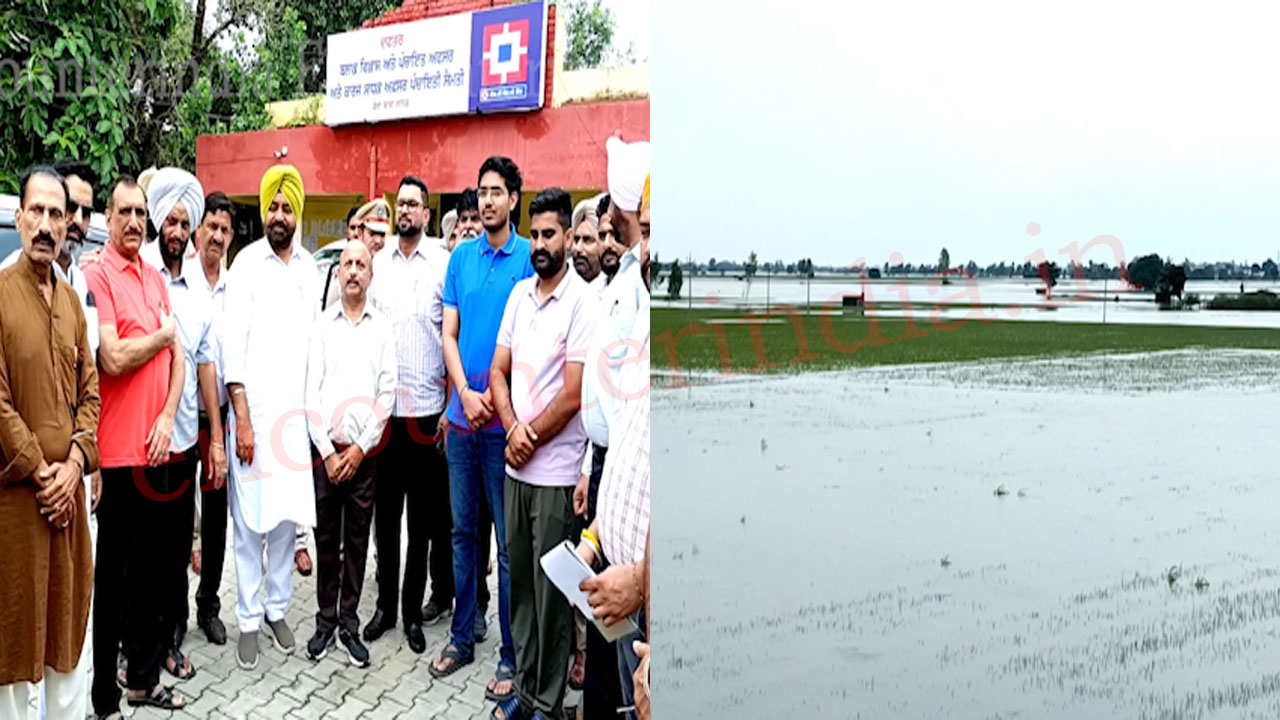 Punjab News: इस इलाके में 350 से ज्यादा गांव बाढ़ की चपेट में, देखें वीडियो