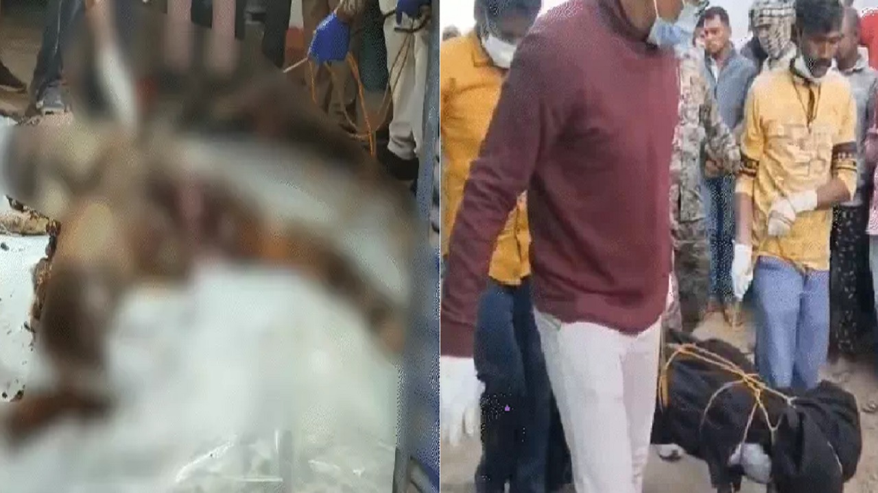 घर के सेप्टिक टैंक में मिला नवविवाहिता का शव, शादी के 2 महीने बाद से ही थी लापता