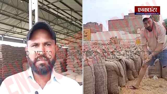 Punjab News: खुले आसमान के नीचे पड़ी गेहूं बारिश में भीगी, देखें वीडियो
