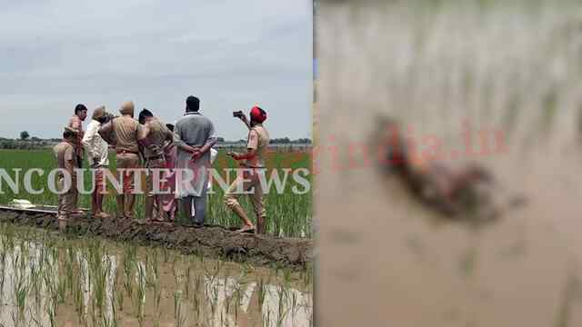 Punjab News: खेत में मिली 17 वर्षीय छात्रा की जली हुई लाश, सनसनी फैली, देखें वीडियो