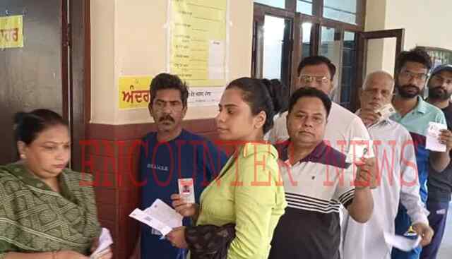 Jalandhar: उपचुनाव को लेकर 3 बजे तक इतने प्रतिशत हुई वोटिंग