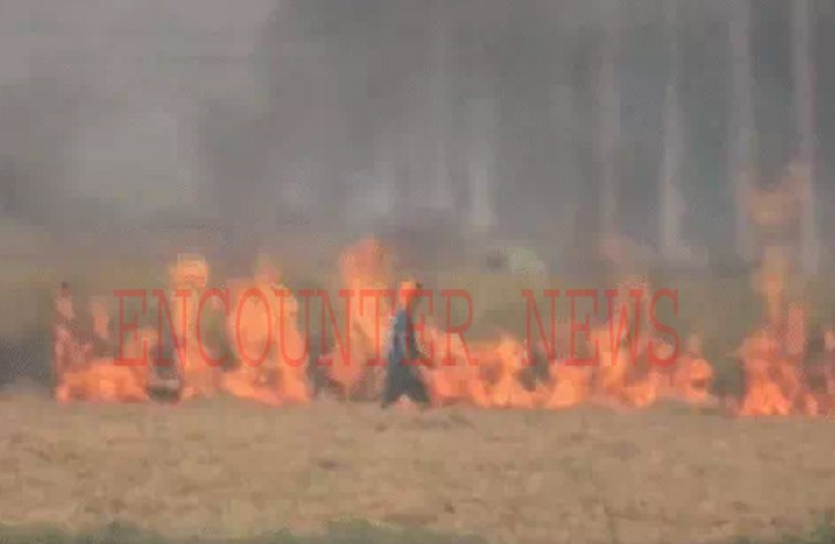 सुप्रीम कोर्ट के बाद एक्शन में केंद्र सरकारः पराली जलाने के मामले में दोगुना किया जुर्माना