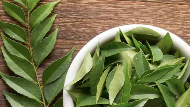 Health Tips: इन पत्तियों से भी शुगर लेवल को कंट्रोल करने में मिलती है मदद