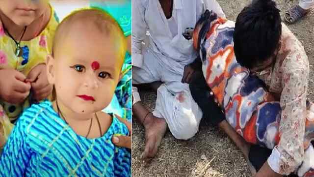 2 साल की बच्ची को कुत्तों ने बुरी तरह नोचा, दर्दनाक मौत