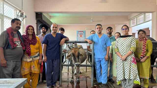 गाय के पेट से निकाला गया 7 किलो प्लास्टिक, 2 पत्थर और 3 सिक्के