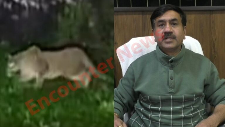 इस इलाके में तेंदुआ दिखने से लोगों में दहशत, वन विभाग Alert, देखें video