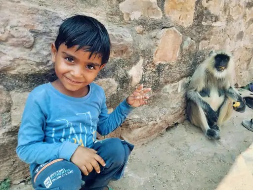 त्रिनेत्र गणेश मंदिर से लौट रहे बच्चे पर Tiger का हमला, मिनटों में गले से पकड़कर जंगल में हुआ गायब