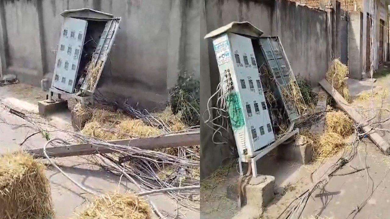 Punjab News: नाबालिग ने बिजली के पोल में मारी ओवरलोड ट्रैक्टर ट्राली, ट्राली में आया करंट, देखें वीडियो