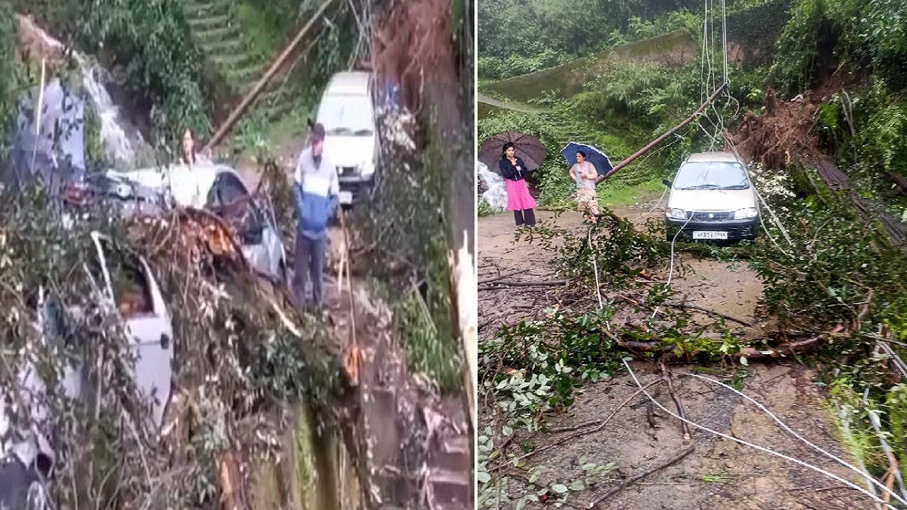 कारों पर गिरा सालों पुराना पेड़, वाहन बुरी तरह क्षतिग्रस्त