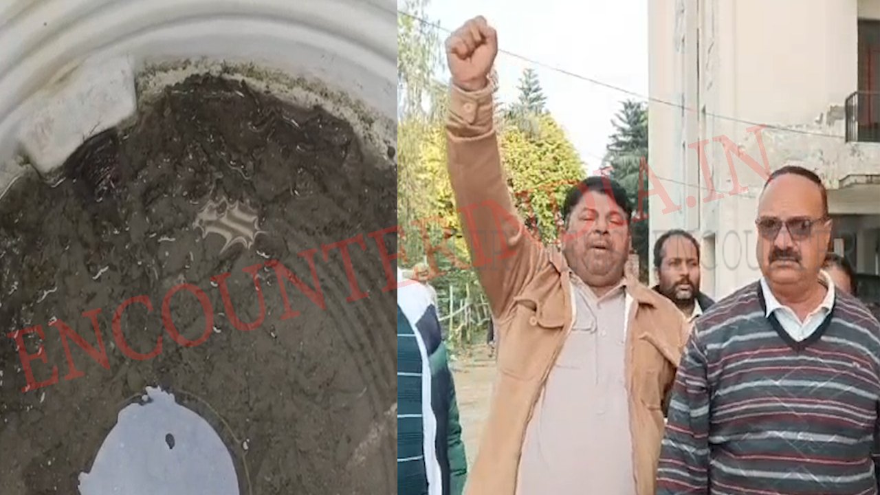 Punjab News: कॉलोनी में गंदगी को लेकर शिवसेना ने किया प्रदर्शन, देखें वीडियो