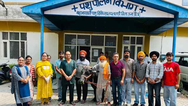 पॉलीक्लीनिक पशु चिकित्सालय ललड़ी में 66 नुकीली धातु की तारें निकालकर गर्भवती भैंस को दिया नयाजीवन