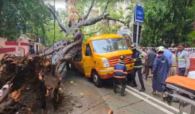 स्कूली बच्चों से भरी वैन पर गिरा बड़ा पेड़, एक की मौत, मौके पर मची चीख-पुकार