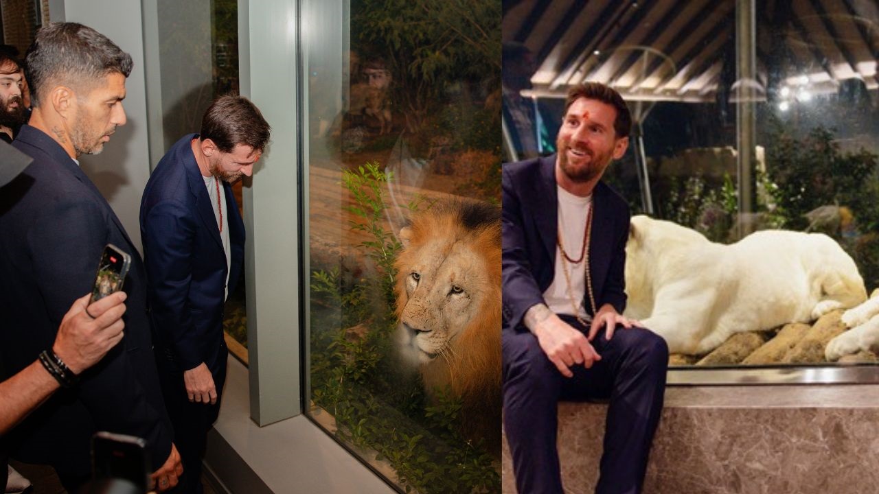 Vantara में Lionel Messi के नाम पर हुआ शेर के बच्चे का नामांकन