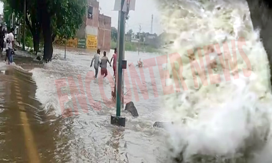 Punjab News: Danger Level पार पौंग डैम का जलस्तर, आज छोड़ा जाएगा 1 लाख 10 हजार क्यूसेक पानी