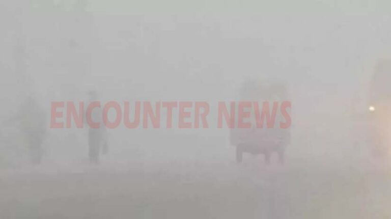 Punjab News: शीतलहर से कड़ाके की ठंड, शिमला से भी ठंडे 8 जिले