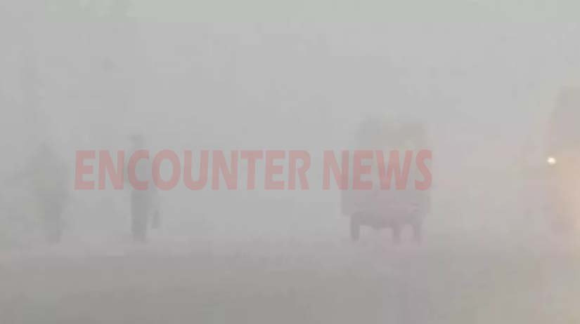 Punjab News: शीतलहर से कड़ाके की ठंड, शिमला से भी ठंडे 8 जिले
