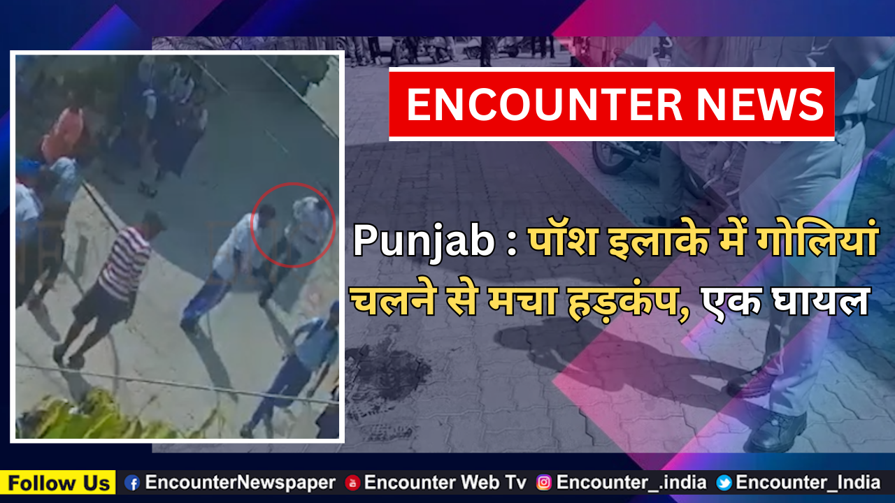 Punjab : पॉश इलाके में गोलियां चलने से मचा हड़कंप, एक घायल, देखें वीडियो