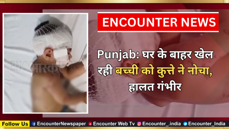 Punjab : घर के बाहर खेल रही बच्ची को कुत्ते ने नोचा, हालत गंभीर, देखें वीडियो