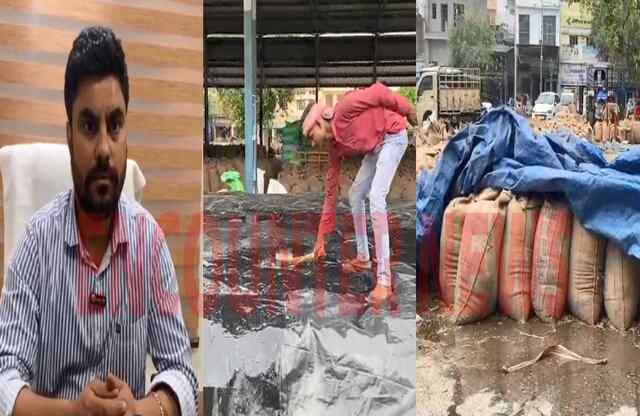 Jalandhar News: बारिश के पानी से डूबी गेंहू को लेकर चेयरमैन का आया बड़ा बयान, देखें वीडियो