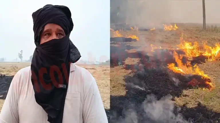 Punjab News: खेतों में जलाई जा रही पराली, किसानों ने लगाए प्रशासन पर आरोप, देखें वीडियो