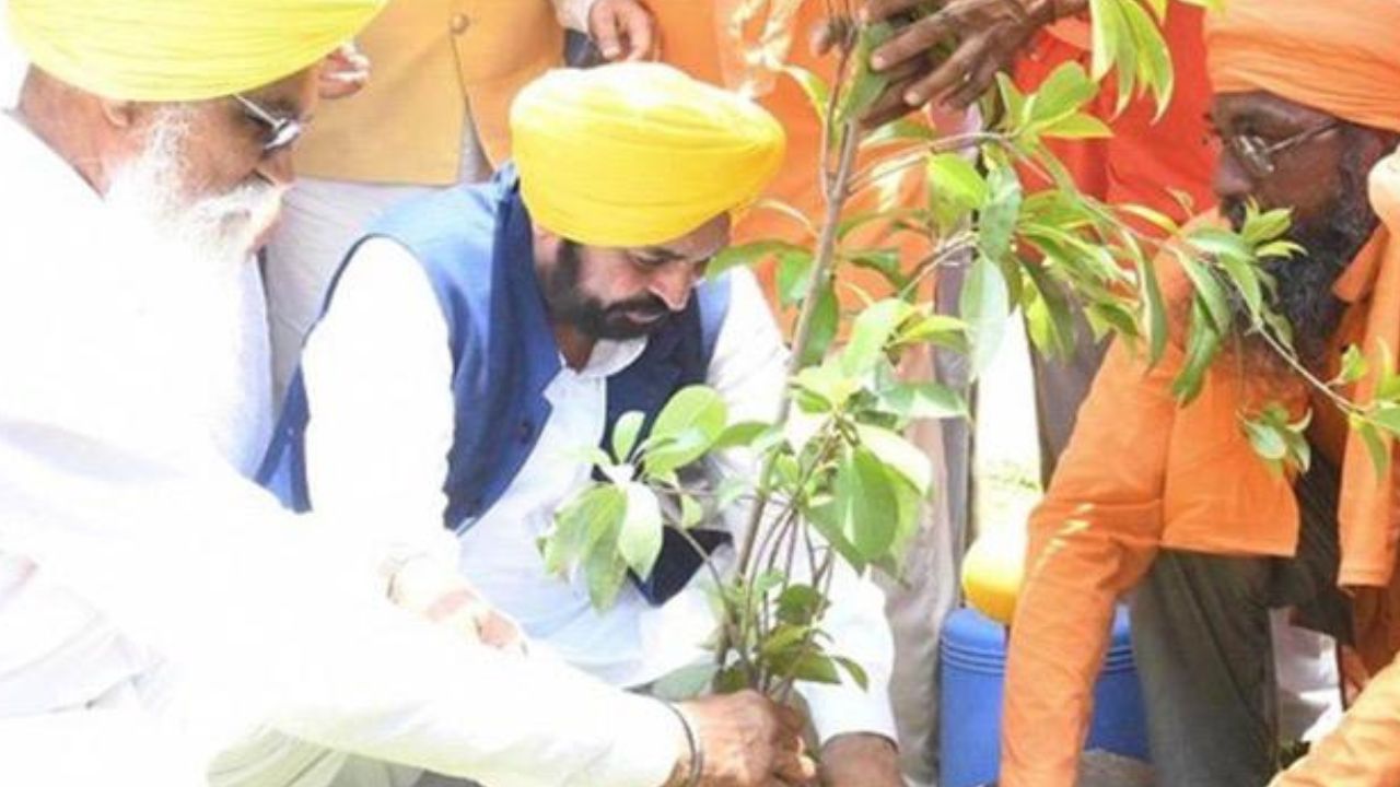 पंजाब में हरियाली की नई पहल: मान सरकार के ‘Greening Punjab Mission’ के तहत 12.55 लाख पौधे लगाए गए
