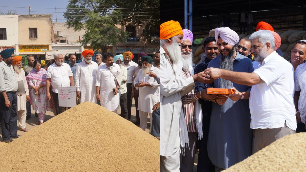 मान सरकार की किसान-हितैषी नीतियों से गेहूं-धान खरीद सीजन रहा सफल