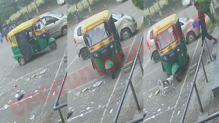 दूध के 10 क्रेट, दही और पनीर लेकर Auto चालक फरार, देखें वीडियो